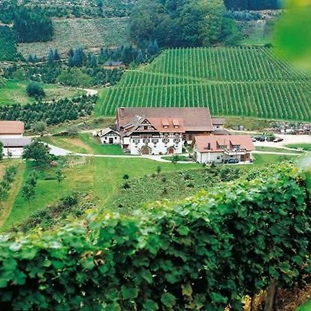 Apartamento Weingut Alfred Huber Durbach Exterior foto