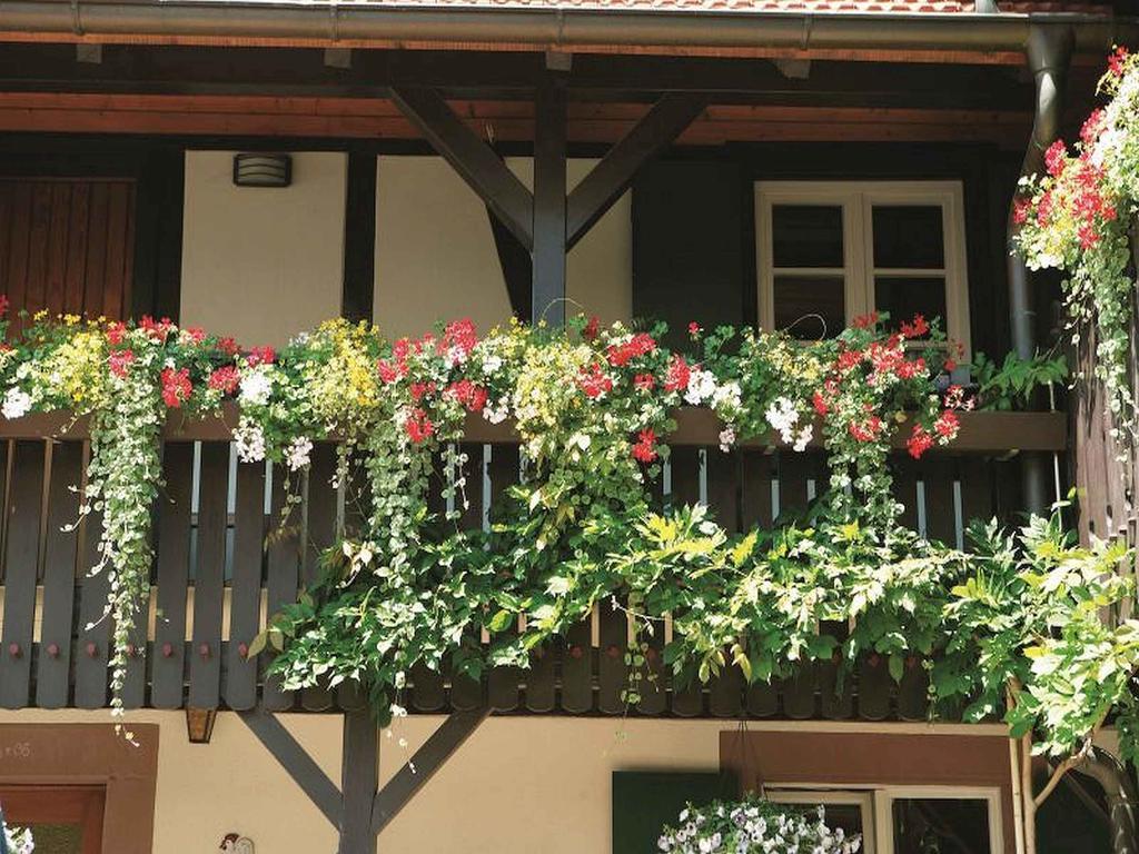 Apartamento Weingut Alfred Huber Durbach Exterior foto