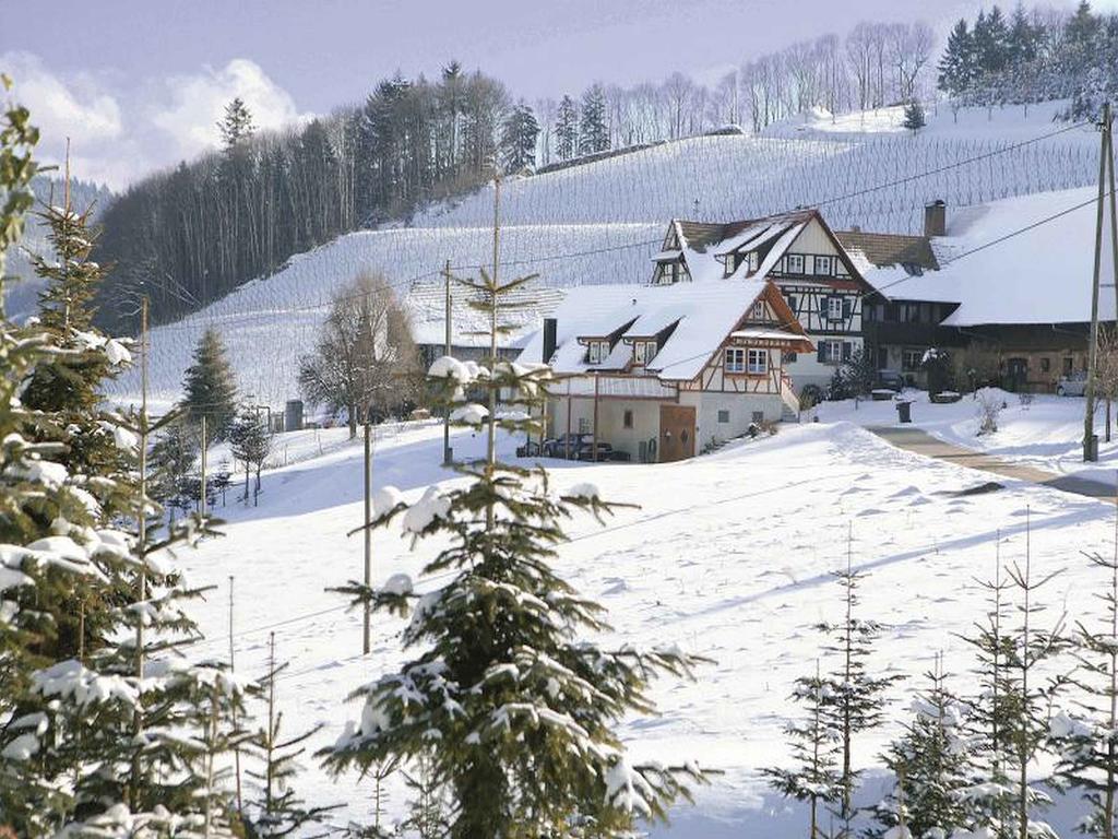 Apartamento Weingut Alfred Huber Durbach Exterior foto
